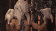 adult humor GIF by The Eric Andre Show