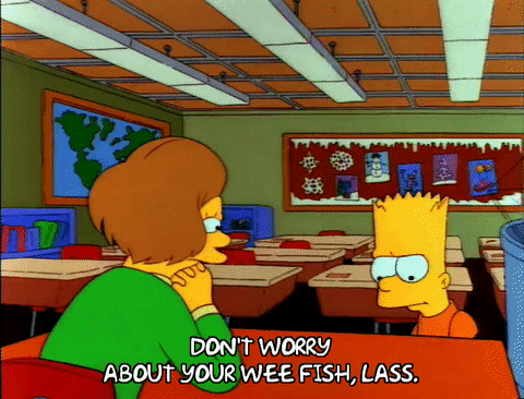 Season 3 Fish GIF by The Simpsons