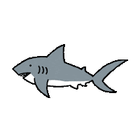 Shark Sticker by imoji