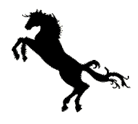 horse sash Sticker by S.A.S.H Sydney
