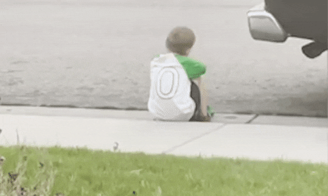 cuteanimalland giphyupload GIF