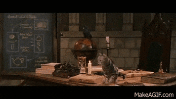 mcgonagall GIF