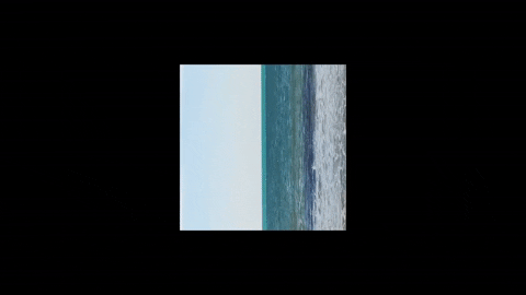 Simongip giphygifmaker GIF