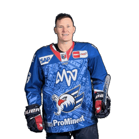 Solow Sticker by Adler Mannheim