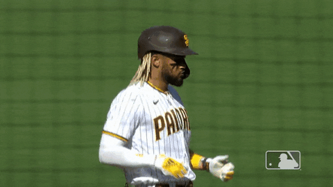 Major League Baseball Sport GIF by MLB