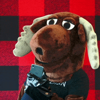 Canadian Hello GIF by choose.ca