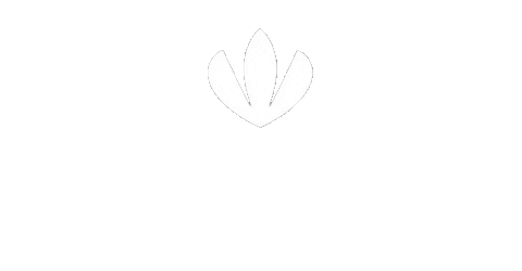 crocus_kazan giphyupload crocus крокус крокус казань Sticker