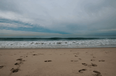 magangilliland giphygifmaker california venice beach GIF