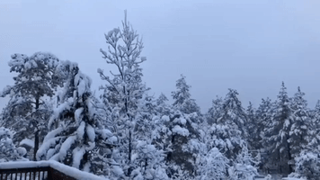 Winter Storm Blankets Parts of Central Arizona in Snow