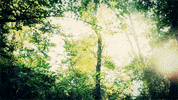 GIF by by The Barkers