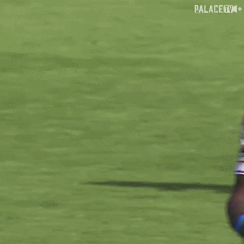Shocked Premier League GIF by Crystal Palace Football Club