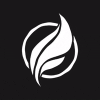 HouseEssentialRecords her house music house essential records GIF