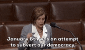 Nancy Pelosi Insurrection GIF by GIPHY News