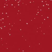 Christmas Kittens GIF by BuzzFeed