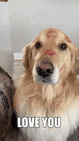 Valentines Day Love GIF by Finley