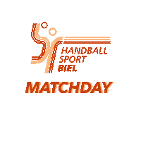HSBiel handball handballschweiz hsbiel Sticker