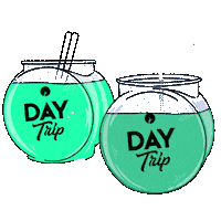Day Trip Sticker by Exchange LA