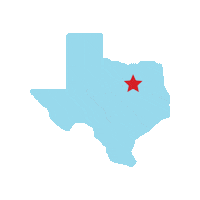 Texas Dallas Sticker by Champion Management