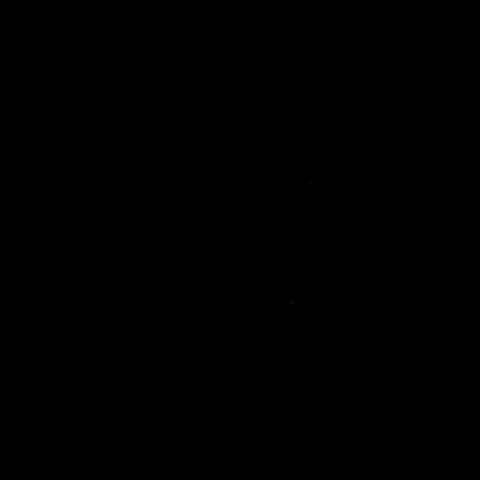 213 GIF