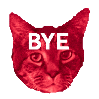 Cat Goodbye Sticker