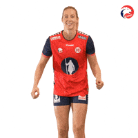 Euro 2024 Handball GIF by Norges Håndballforbund