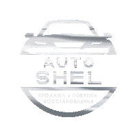 Auto Shel Sticker by Kk Detailing