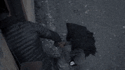 Jojo Siwa Challenge GIF by Reality Club FOX