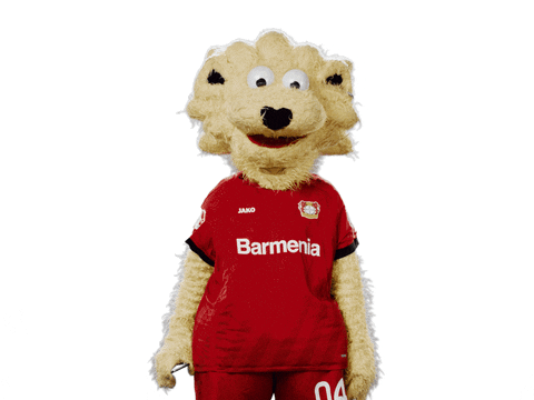 Bayer 04 Smartphone GIF by Bayer 04 Leverkusen