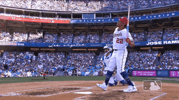 Juan Soto Sport GIF by MLB