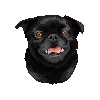Lunacooper Sticker by Pickle's Pawtraits