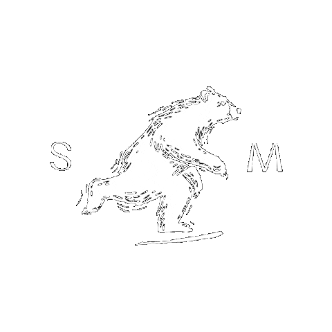 Smfpittogrammainizialiw Sticker by SergioMinniciFilms