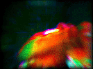 kung fu art GIF by MFD