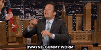 Jimmy Fallon Nbc GIF by The Tonight Show Starring Jimmy Fallon