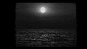 Dragula GIF by BouletBrothersDragula