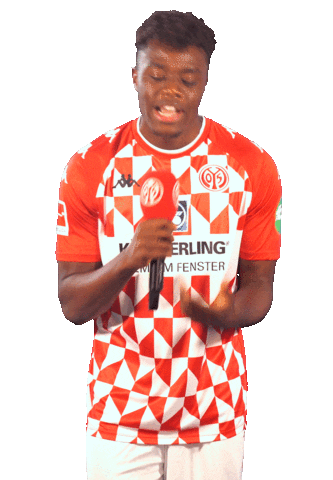 Bundesliga Happy Dance Sticker by 1. FSV Mainz 05