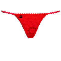 Sexy Lingerie Sticker by obsessivelingerie