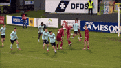Celebration Congratulations GIF by Cliftonville Football Club