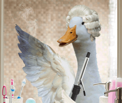 beauty burn GIF by Aflac Duck