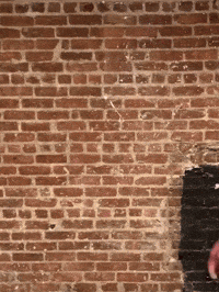 Tonight Show Laughing GIF