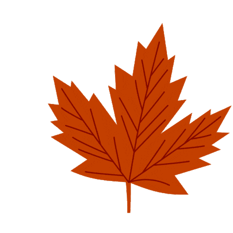 Maple Leaf Canada Sticker by Kew Gardens
