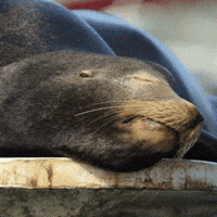 Tired Waking Up GIF by NETFLIX