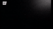 james bond brodyr bach GIF by dylans4c