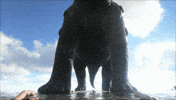 poop survival GIF