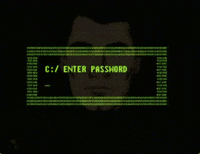 Privacy Wtf GIF