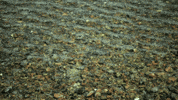 Summer Water GIF
