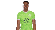 Football Love Sticker by VfL Wolfsburg