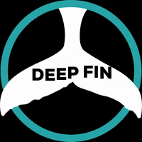 deepfintenerife diving dive tenerife deepfin GIF