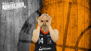 Sport Basketball GIF by Basket_fi