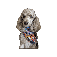 Demon Slayer Poodle Sticker by Geekster Pets