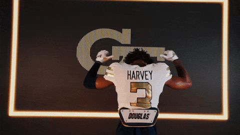 Georgia Tech Football Sport GIF by Georgia Tech Yellow Jackets